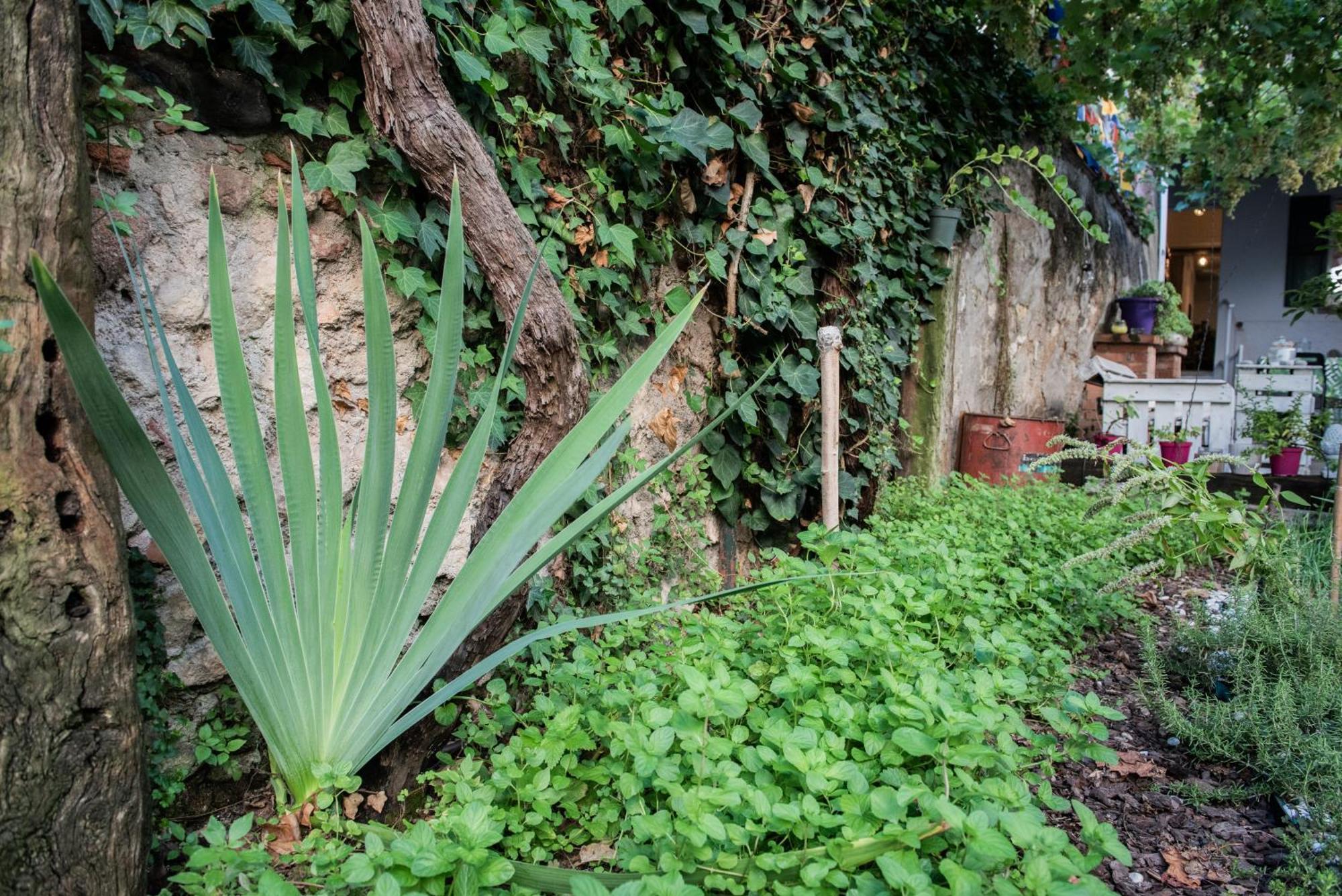 Casa Babbuino Hotel Verona Exterior photo